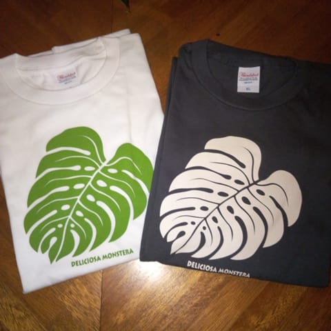 カフェバーモンステラ