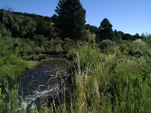 mly ranch - Visual