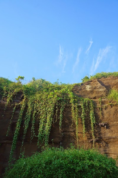 Photos of Pondok Pitaya: Hotel, Surfing and Yoga