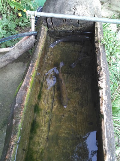 Photos of Zeleni Raj