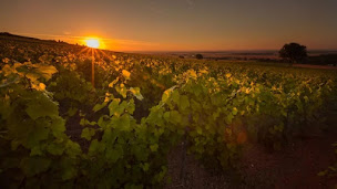 Photo n°2 de Joshua Alves - Sextant Immobilier à Sainte-Savine (Consultant immobilier)