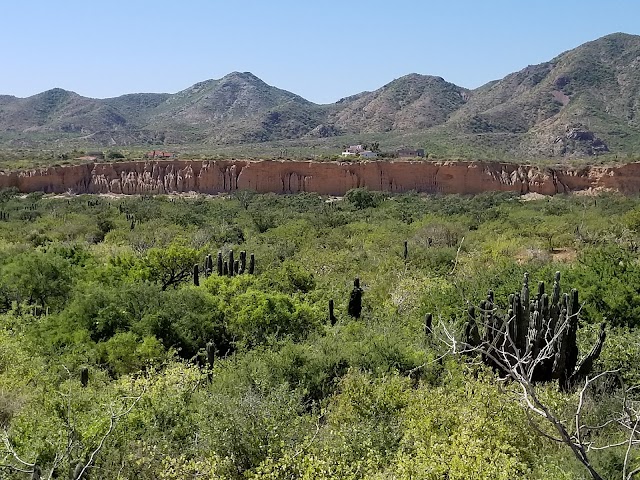 Cabo Pulmo National Park