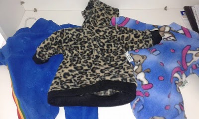 Photos of Estilo Pet