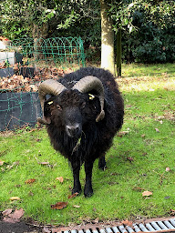 Photo n°19 de CEDRE Formation professionnelle en Ethnomédecine Chinoise à Erdeven (École privée)