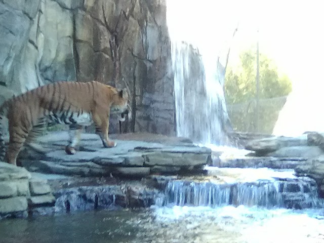 Jacksonville Zoo and Gardens