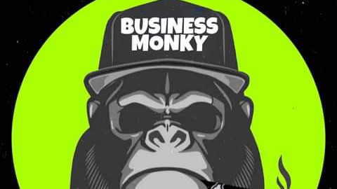 Bussines Monkey - Visual