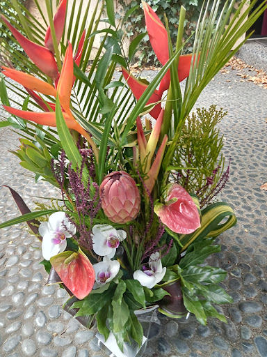 Photo de Fleurs &amp; Terres à Talence (33400)