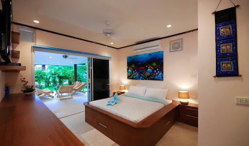 Coconut Laguna