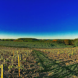 Photo n°1 de Domaine du Bourrou à Réjaumont (Établissement vinicole)