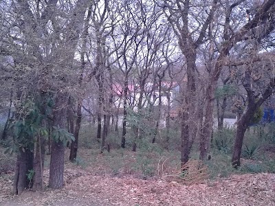 Photos of Bosque Las Hojarascas