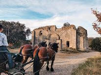 Balades en calèche Pays de Sommières - Les Attelages du Vidourle à Souvignargues