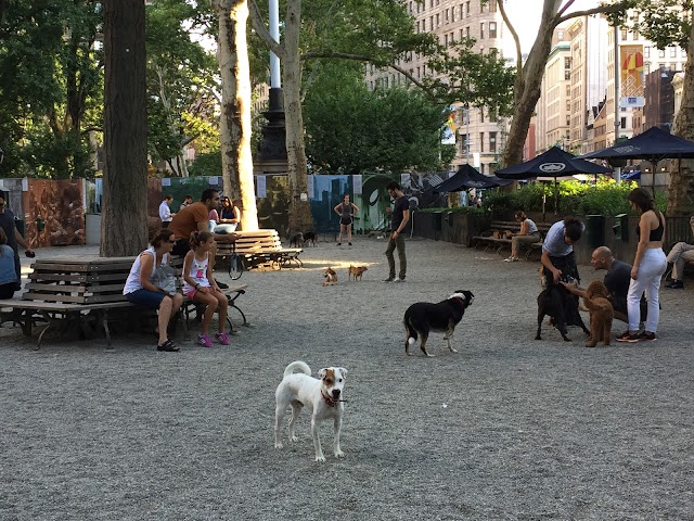 Madison Square Dog Run