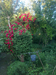 Photo n°38 de Chambres d'hôtes côté campagne et jardin à Ohnenheim (Chambre d'hôtes)