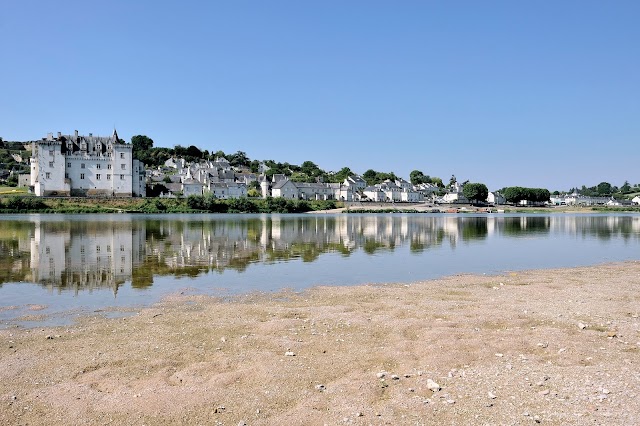 Chateau de Montsoreau