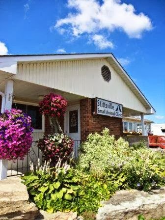 VCA Stittsville Small Animal Clinic - Thumbnail