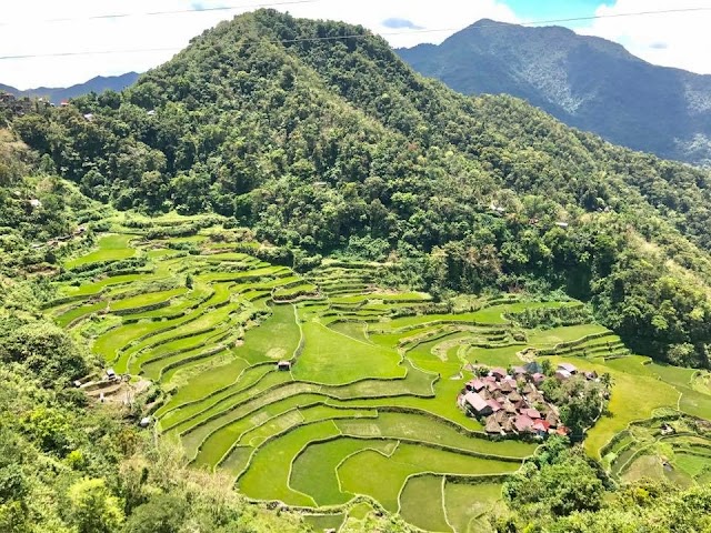 Banaue Rice Terraces