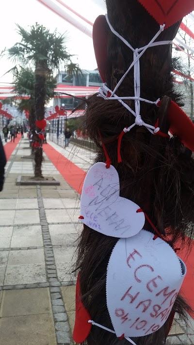 Photos of T. C. Avcılar Municipality Directorate of Health Affairs