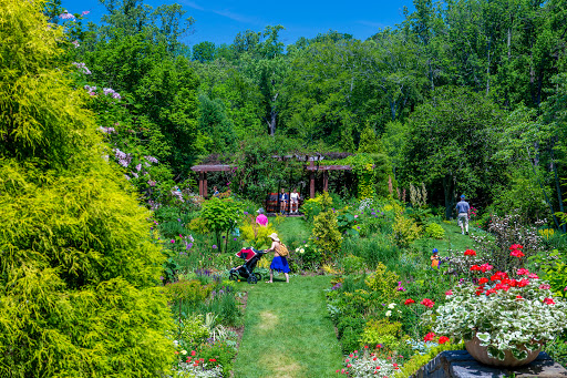 Chanticleer, a pleasure garden - Thumbnail