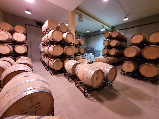 Bodegas y Viñedos Puente del Ea. - Thumbnail