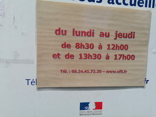 OFII Toulouse - Office Français de l'Immigration et de l'Intégration - Thumbnail