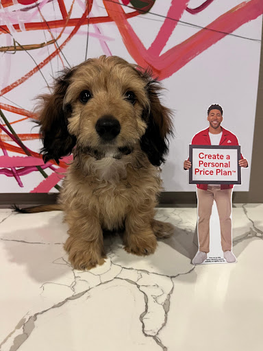 Mark Kinkade - State Farm Insurance Agent - Thumbnail