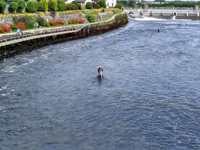 Salmon Weir Bridge