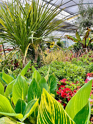 Photo n°7 de Pépinières Bourquin à Bordères-sur-l'Échez (Jardinerie)