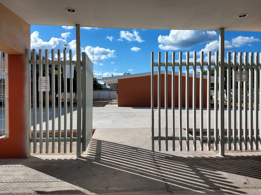 Escuela Primaria Ana Sofia Baeza Garcia vespertino - Thumbnail