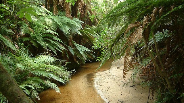 Abel Tasman