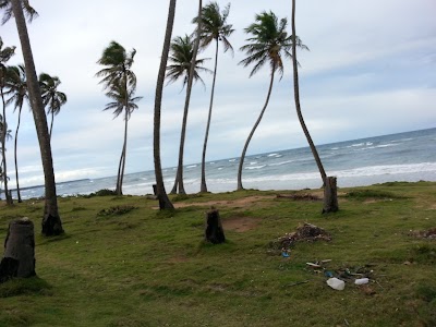 Photos of Playa la Boca de Payita