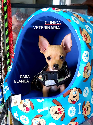 CLINICA VETERINARIA CASA BLANCA ,Estética,Acuario