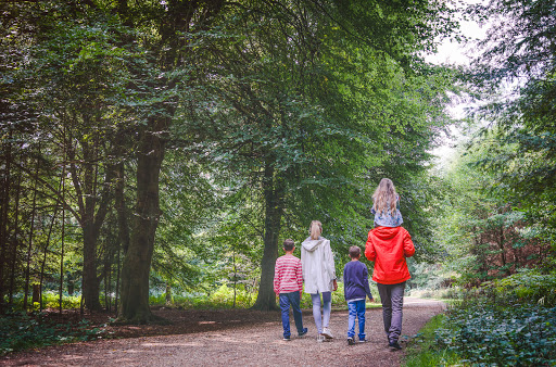 Merley Court Holiday Park & Residential Park Homes - Thumbnail
