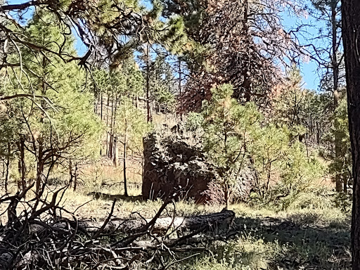 Kendrick Mountain Wilderness - Thumbnail