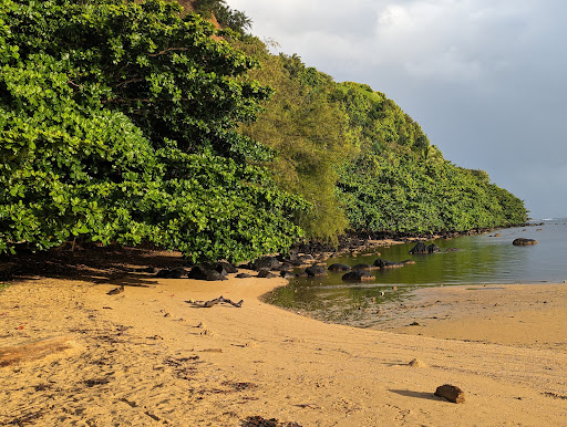 Trail head to Wyllie's Beach Gallery - United States