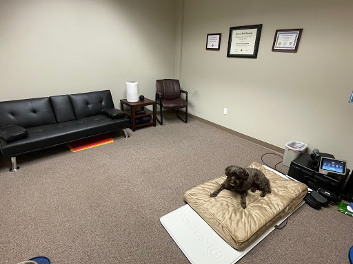Life Quality Pet Care - Thumbnail