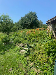 Photo n°16 de Camping Naturiste Millefleurs 3 Etoiles Pyrénées Ariégeois à Gudas (Parc naturiste)