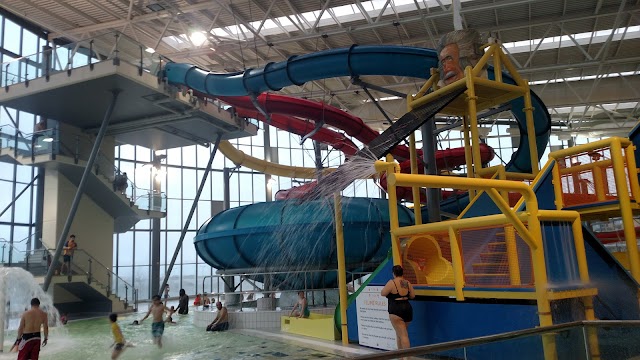 Cardiff International Pool