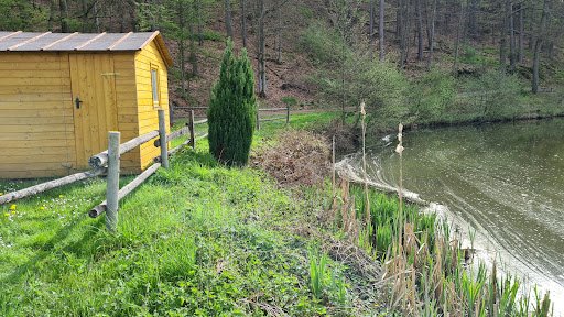 Weiher Veitsrodt - Thumbnail