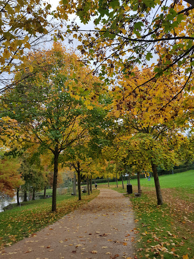 Schillerteich - Visual