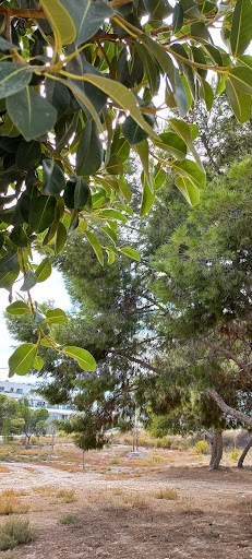 Merendero Parque De Garrucha - Thumbnail