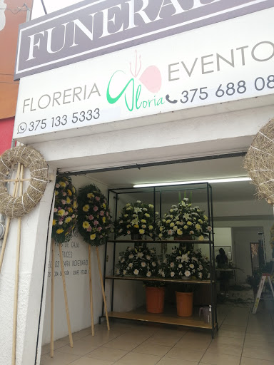 Floreria Gloria Funerales - Thumbnail