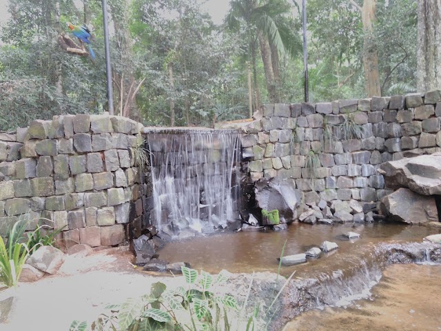 Parque das Aves