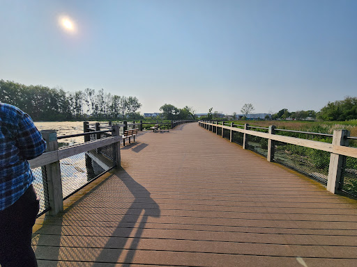 Mill Point Preserve - Thumbnail