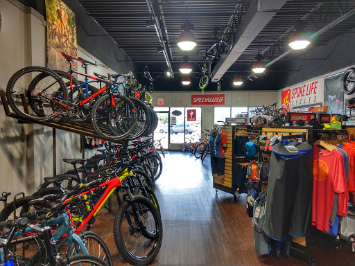 Spoke Life Cycles Perrysburg - Thumbnail