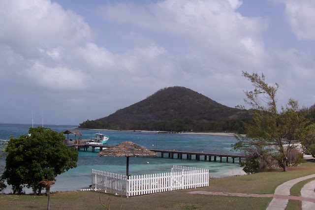 Petit-Saint-Vincent