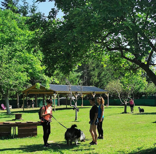 Opinii despre La Prairie d’Ain în Gerland - Dresseur pour chiens