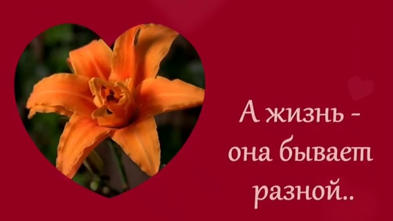 Семеен Хотел - "Амигос"