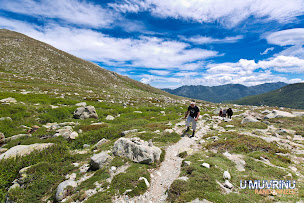 Photo n°9 de U MUVRINU Randonnées à Bilia (Agence de voyages)