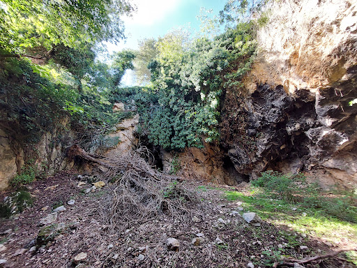Pozzo Carsico