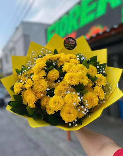 Florería y novedad de las margaritas